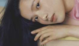 圈内爆料张婧仪视频播放,网络热议背后的真相揭秘